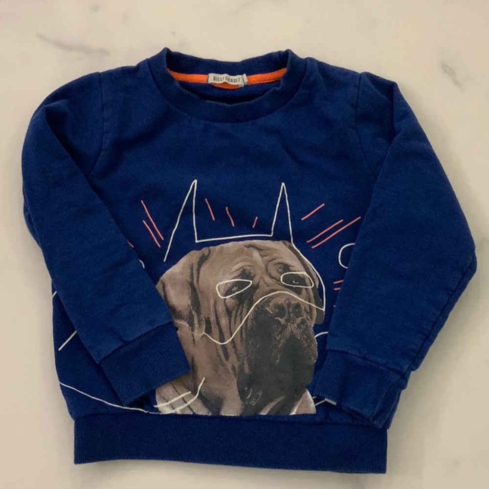 Boys Billybandit sweat top
